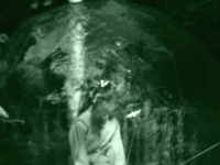 https://www.paulinejacquelin.com/files/gimgs/th-43_clip_terribleshorses1_2009.jpg