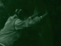 https://www.paulinejacquelin.com/files/gimgs/th-43_clip_terribleshorses2_2009.jpg