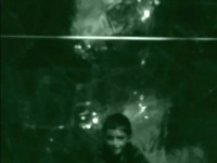 https://www.paulinejacquelin.com/files/gimgs/th-43_clip_terribleshorses3_2009.jpg